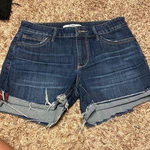 Sam Edelman cuffed shorts